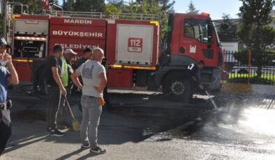 Mardin’de yaya geçidinde TIR’ın çarptığı yaya öldü – Güncel haberler